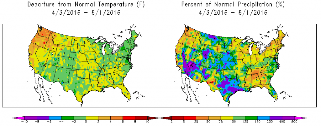 6-2-16summer1